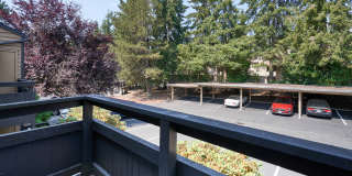 Bellevue Meadows Gallery 49