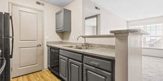 Bridgestone Gallery 47