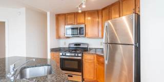 The Veridian Gallery 9