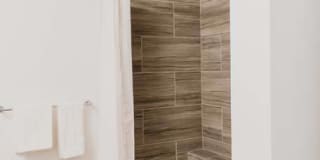 Tanager Tanager Gallery 71