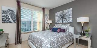 RIZE at Winter Springs Gallery 53