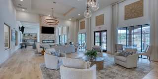 Tacara at Stone Oak Gallery 15