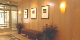 The Bennington at Silver Spring Gallery 4