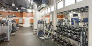 Eleve Apartments Gallery 21