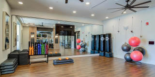 The Tomlin Gallery 25