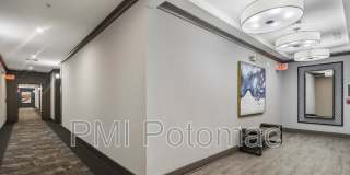 3503 Bellflower Lane Gallery 11
