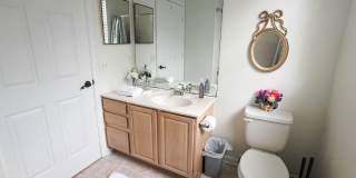 581 BRANTLEY TERRACE WAY Gallery 40