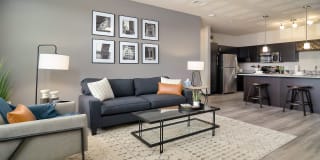 Springs at Three Oaks Gallery 24