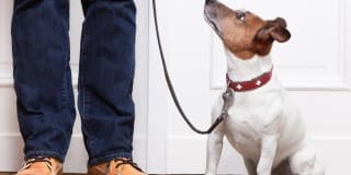 King Edward Apartments Gallery 14