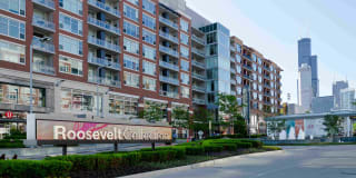 Roosevelt Collection Lofts Gallery 35