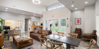 Grove at Alban Gallery 7