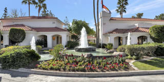 San Montego Gallery 12