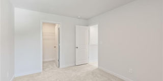 2837 Bullfrog Lane Gallery 11