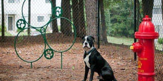 Emory Woods Gallery 3