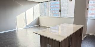 1511 S Laflin St Gallery 9