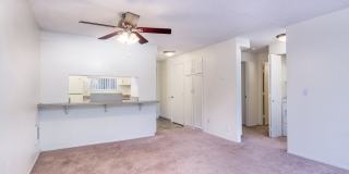 Forest Ridge Gallery 30