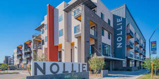 Nollie Gallery 9