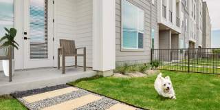 The Copeland The Copeland Gallery 18