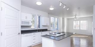 Moda Newhouse Moda Newhouse Gallery 11