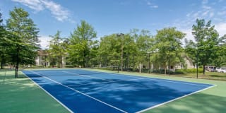 Evergreen Commons Gallery 11