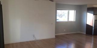 3 Bedroom Modern Home w/ Excellent Location! Gallery 6