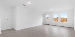 VIDA Gallery 7