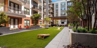 Troubadour Gallery 24