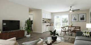 A/62 Apartments Gallery 4