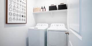 Banyan at 17 North Gallery 21