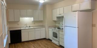 Mid-Town Single Family Home w/ Spacious Fenced Yard Gallery 8