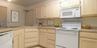 Brighton Park Gallery 1