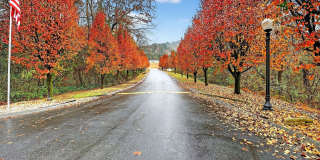 Blackberry Creek Gallery 17