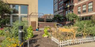 One Bedroom Unit in Wonderful Western Auto Lofts Gallery 32