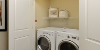 Avalon Laurel Gallery 20