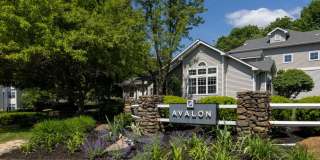 Avalon at Lexington Gallery 37