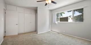 Roxanne Apartments Gallery 7