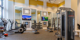 AMLI 8800 Gallery 11