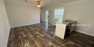10704 Fran St. New Port Richey, FL Gallery 11