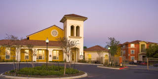 Costa Almadena Gallery 3