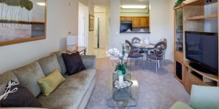 AMLI at Seven Bridges Gallery 24