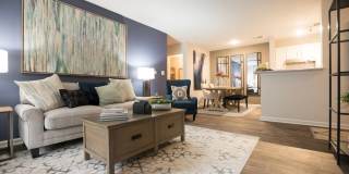 Palmetto Place Gallery 1