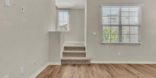 71 Tallowood Gallery 16