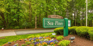 Sea Pines Gallery 1