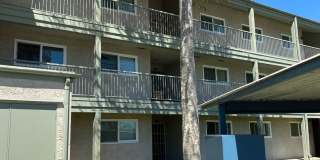Fully Furnished Condo at the Beach Fully Furnished Condo at the Beach Gallery 15