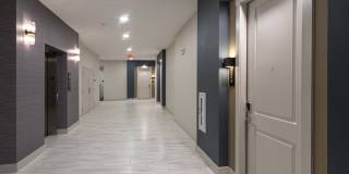 Domain Heights Gallery 4