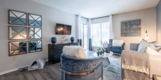 Canopy on Central Gallery 12