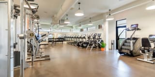 Falls Green Gallery 17