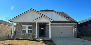 29351 Satilla Circle Gallery 1