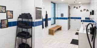 Alexan Lower Greenville Alexan Lower Greenville Gallery 41