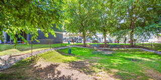 Rainier Pointe Gallery 28